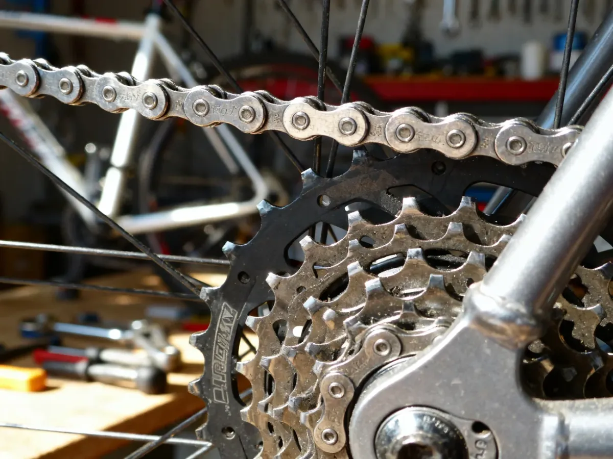 Zbliżenie na czysty łańcuch rowerowy spoczywający na kasecie zębatki, ukazujące detale mechanizmu napędowego.